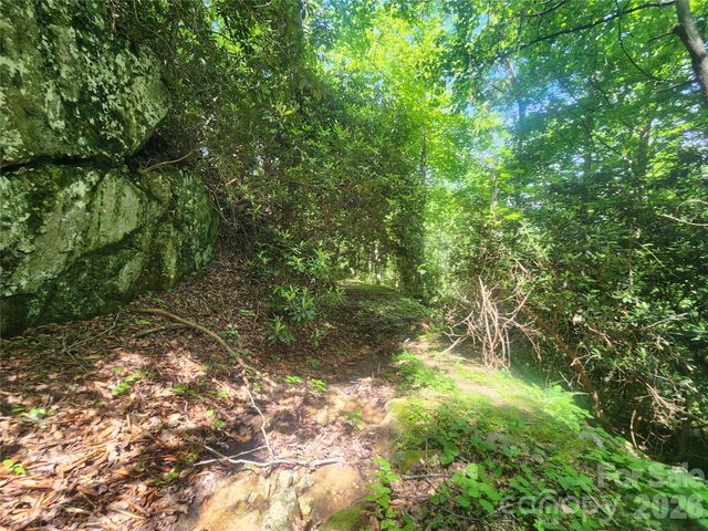 789 Jarrett Cove Road, Marshall, NC 28753