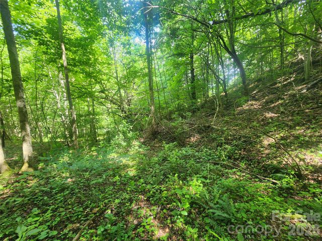 789 Jarrett Cove Road, Marshall, NC 28753