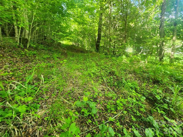 789 Jarrett Cove Road, Marshall, NC 28753