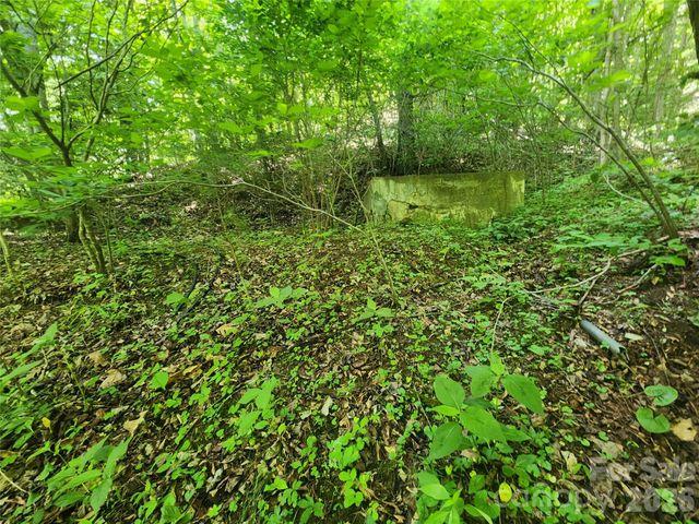 789 Jarrett Cove Road, Marshall, NC 28753