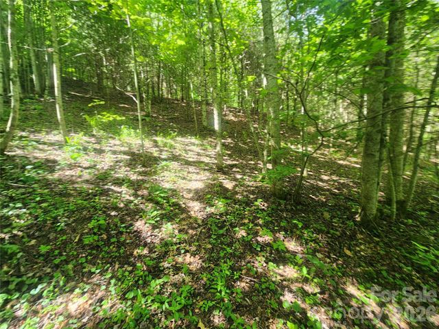 789 Jarrett Cove Road, Marshall, NC 28753
