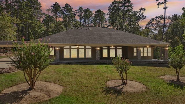 15450 Shady Oaks Drive, Stagecoach, TX 77355