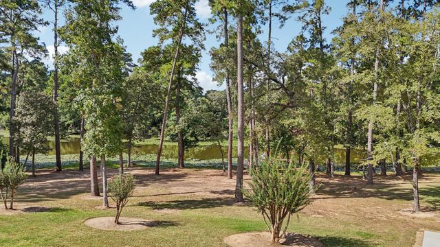 15450 Shady Oaks Drive, Stagecoach, TX 77355