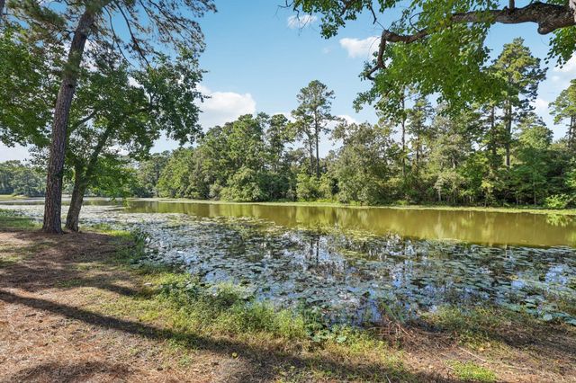 15450 Shady Oaks Drive, Stagecoach, TX 77355