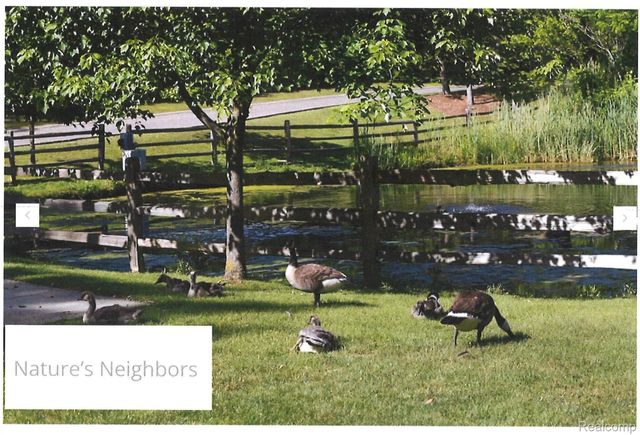 21268 SYCAMORE Court, Farmington Hills, MI 48336