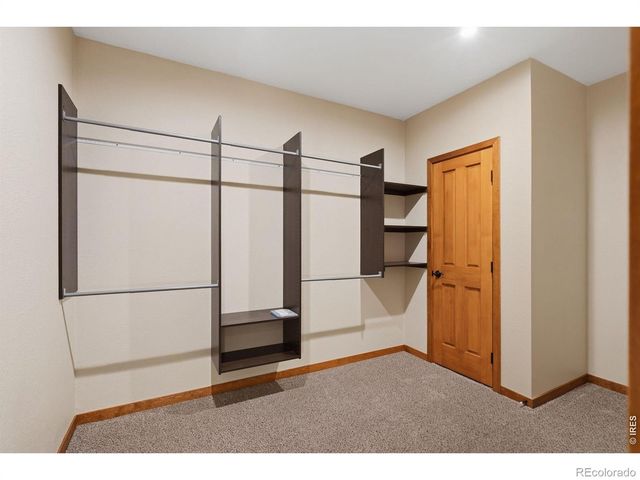 6467 Half Moon Bay Drive, Windsor, CO 80550