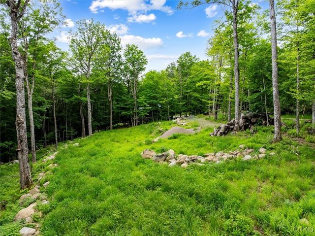 146 Mohawk Drive West, Webb, NY 13420