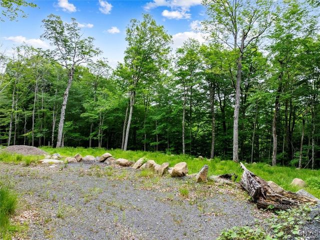 146 Mohawk Drive West, Webb, NY 13420