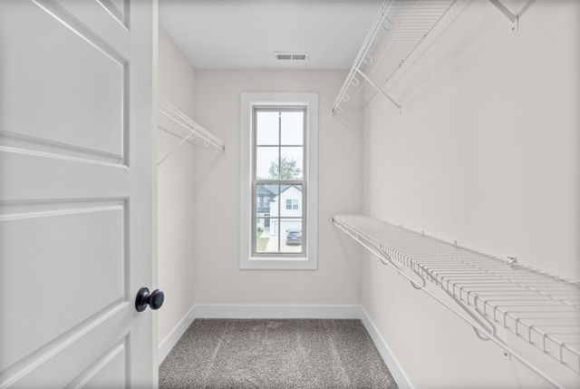 310 Switchgrass Dr, Clarksville, TN 37042