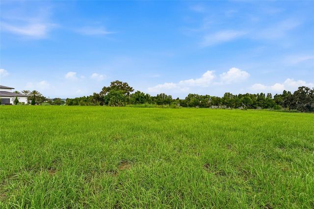 10734 OSPREY LANDING WAY, Thonotosassa, FL 33592