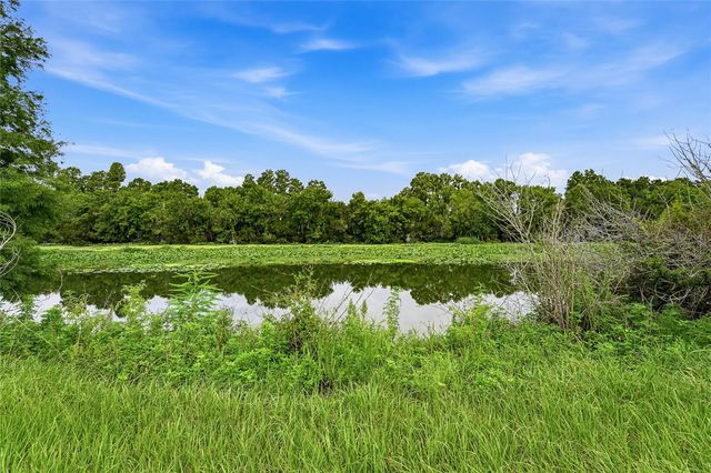 10734 OSPREY LANDING WAY, Thonotosassa, FL 33592