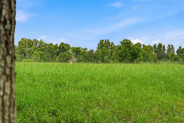 10734 OSPREY LANDING WAY, Thonotosassa, FL 33592
