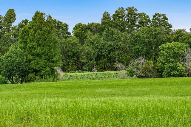 10734 OSPREY LANDING WAY, Thonotosassa, FL 33592