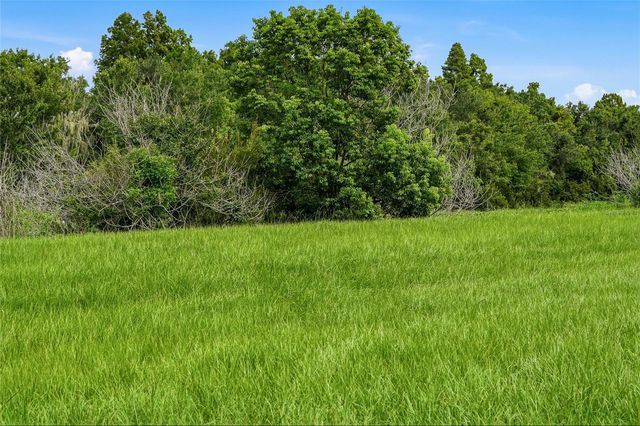 10734 OSPREY LANDING WAY, Thonotosassa, FL 33592