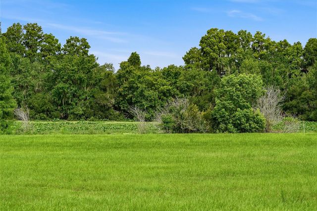 10734 OSPREY LANDING WAY, Thonotosassa, FL 33592