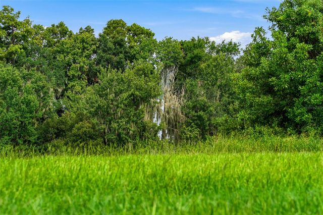 10734 OSPREY LANDING WAY, Thonotosassa, FL 33592