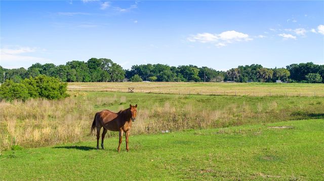 10734 OSPREY LANDING WAY, Thonotosassa, FL 33592