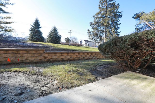 675 Greenfield Court D1, Bartlett, IL 60103