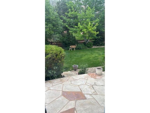 3302 Running Deer Dr, Castle Rock, CO 80109