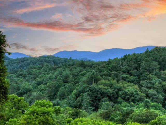 160 Mountain Field Drive, Suches, GA 30572