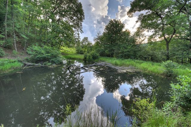 160 Mountain Field Drive, Suches, GA 30572