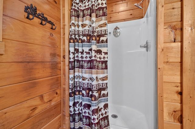 160 Mountain Field Drive, Suches, GA 30572