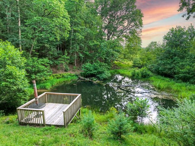 160 Mountain Field Drive, Suches, GA 30572