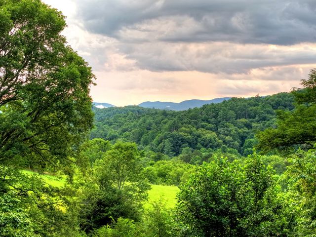 160 Mountain Field Drive, Suches, GA 30572