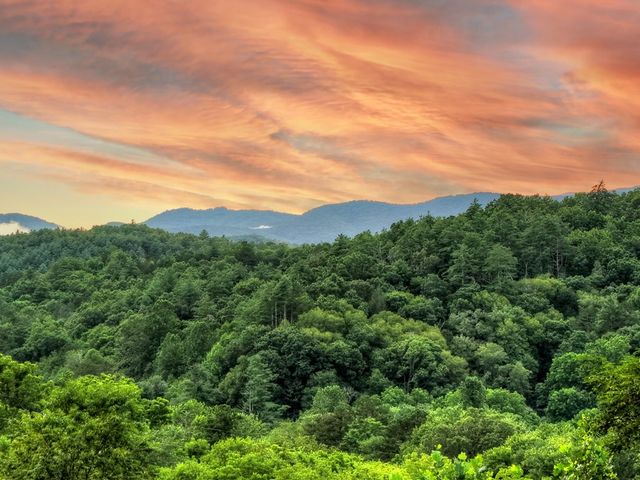 160 Mountain Field Drive, Suches, GA 30572