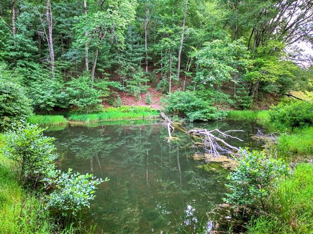 160 Mountain Field Drive, Suches, GA 30572