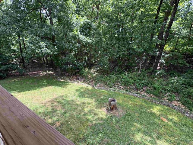 7 Odessa Drive, Cherokee Village, AR 72529