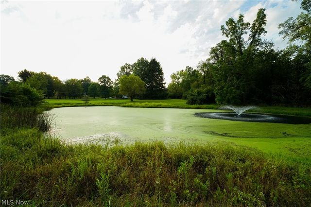 3954 Remsen Road, Medina, OH 44256