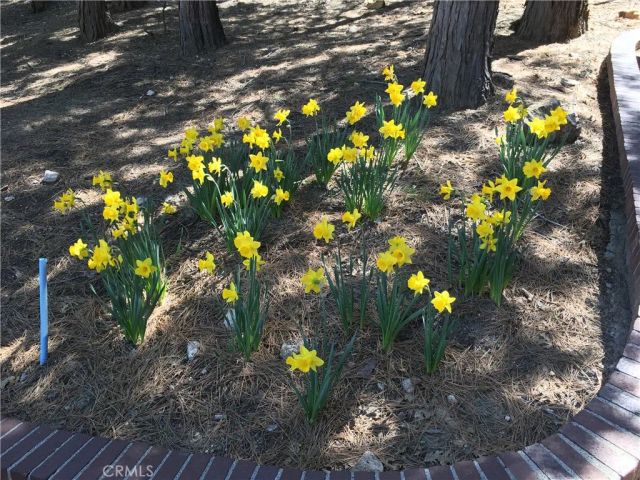 544 Old Toll Road, Lake Arrowhead, CA 92352