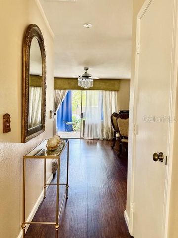 13020 LORNA PLACE, Tampa, FL 33618