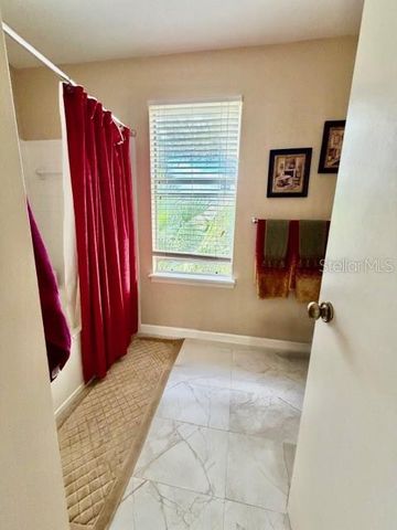 13020 LORNA PLACE, Tampa, FL 33618