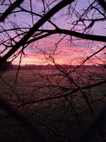 800 Bosque TRL, Georgetown, TX 78628