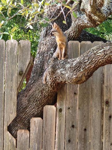 800 Bosque TRL, Georgetown, TX 78628