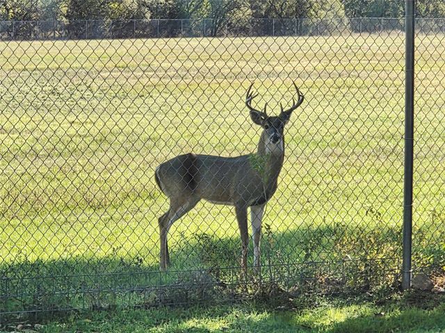 800 Bosque TRL, Georgetown, TX 78628