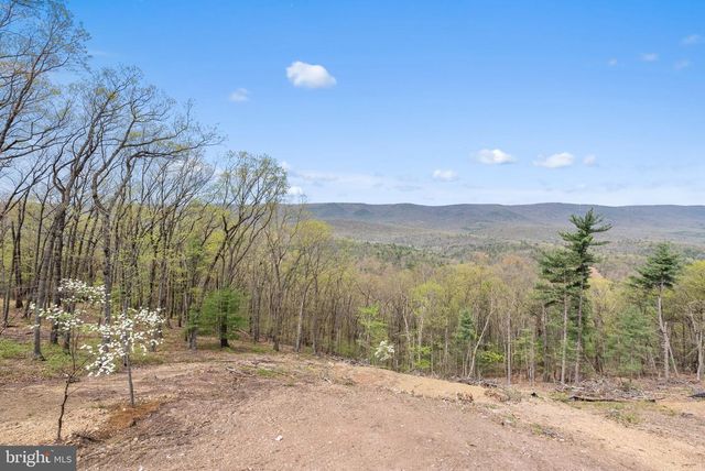 4075 SUPINLICK RIDGE RD, Mount Jackson, VA 22842