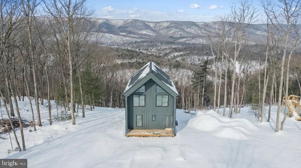 4039 SUPINLICK RIDGE RD, Mount Jackson, VA 22842