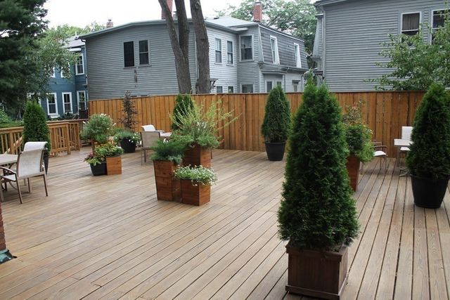 19 Chauncy St 3B, Cambridge, MA 02138
