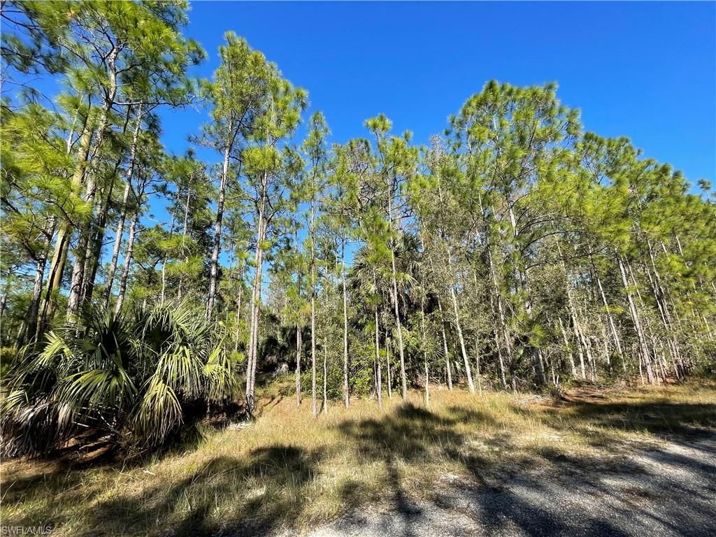 308 Rosanna AVE, LEHIGH ACRES, FL 33972 — photo 2