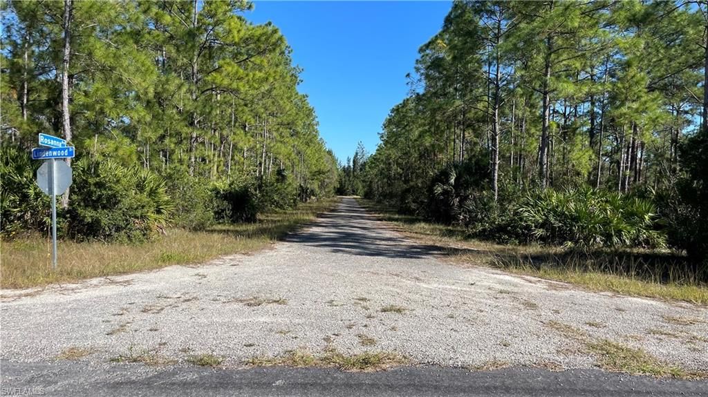 308 Rosanna AVE, LEHIGH ACRES, FL 33972 — photo 4