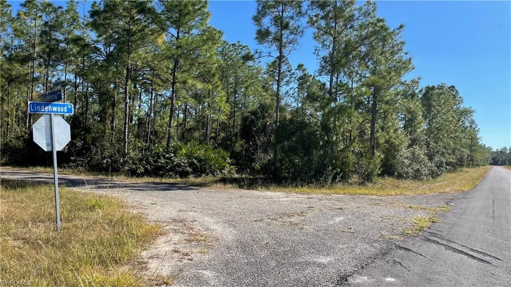 308 Rosanna AVE, LEHIGH ACRES, FL 33972 — photo 5