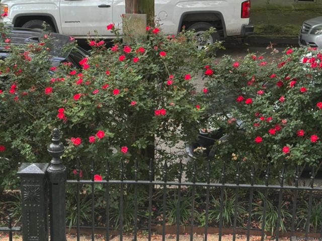 2323 Saint Charles Ave, New Orleans, LA 70130