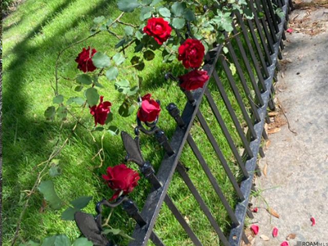 2323 Saint Charles Ave, New Orleans, LA 70130