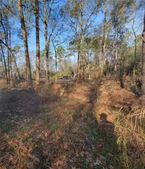 TBD Fenham Lane, Humble, TX 77338