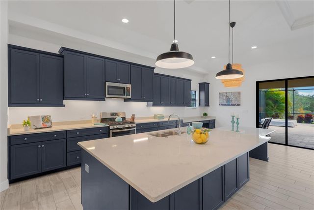 3010 ALBION WALK PLACE, Valrico, FL 33596