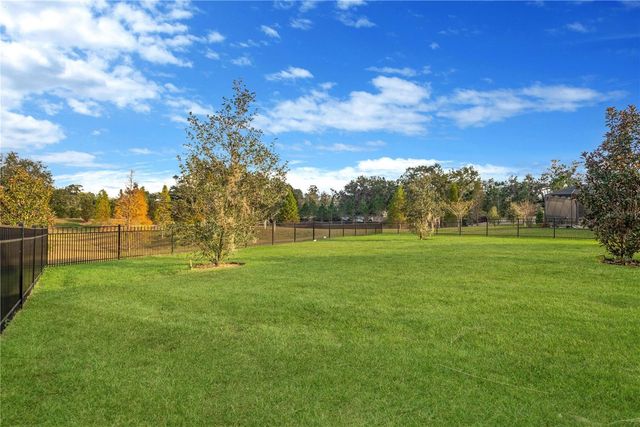 3010 ALBION WALK PLACE, Valrico, FL 33596