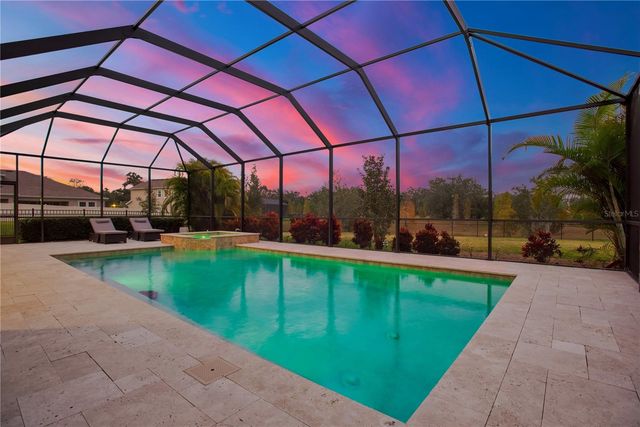 3010 ALBION WALK PLACE, Valrico, FL 33596